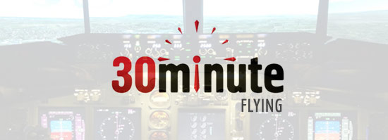 30 Minute Flight Simulator Experience